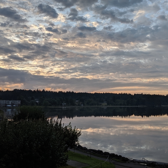 Hi, I'm Echo! 🌺 - Picture 1 of 1